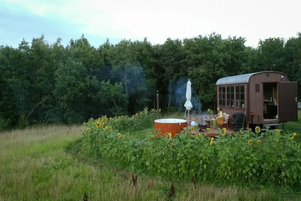 Et glampingsted midt i naturen omgivet af skov og solskinsfyldte enge. På træterrassen ved siden af en rustik vogn sidder en person og nyder sin tid. Foran vognen står et vildmarksbad, hvorfra der stiger damp op, hvilket understreger den afslappede atmosfære ved glamping med vildmarksbad.