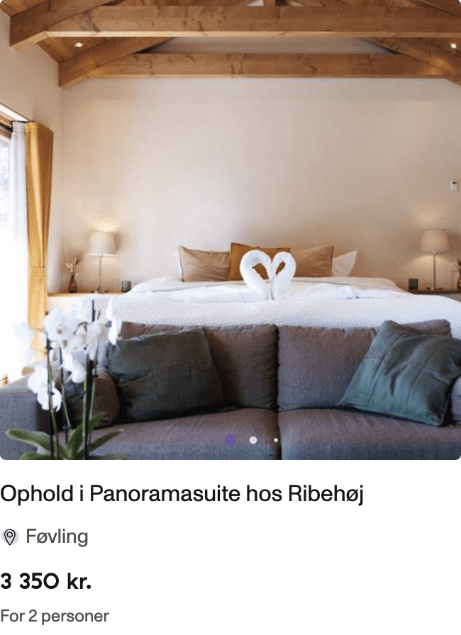 Skærmbillede 2025-01-13 kl. 12.07.04